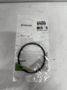 Pentair R172009Z Feeder O-Ring 3” VITON CAP - Picture 1 of 3