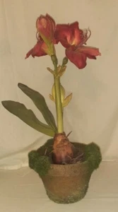 Christmas Red Amarylis Faux Artificial Very Realistic Arrangement in Pot - 20" - Picture 1 of 3