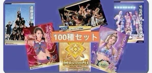 Ringelblume Frauen Pro Wrestling Sammelkarten Set 100 einzigartige Karten Neu - Bild 1 von 1