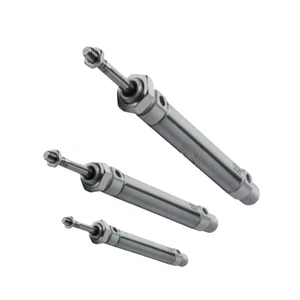 1 Stück Neu Festo DSN-10-55-P Zylinder Fest DSN1055 im Karton Brandneu Kostenloser Versand - Bild 1 von 2