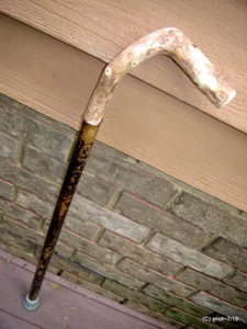 old WALKING STICK/CANE Pine-branch-handle,vintage shaft made on 4th of July~gift - Picture 1 of 9