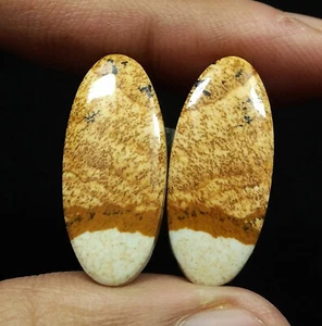 24.80 Ct Natural Picture Jasper Oval Cabochon Matched Pair Loose Gems 27.7x12 MM - Picture 1 of 3
