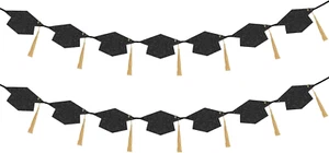 2Pcs Graduation Banner, Pre-Strung 2025 Grad Cap Garland Shiny Tassel Backdrop P - Picture 1 of 7