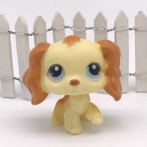 ❤️ COCKER SPANIEL HUND #298 - Authentic Littlest Pet Shop - Hasbro LPS - Bild 1 von 4