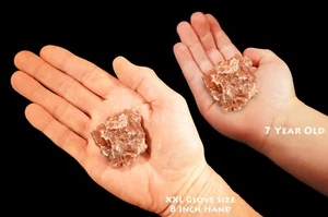 DUNKELROTER CALCIT 2" 2-4 OZ rohes natürliches Gesteinsmineral Probe Heilkristall - Bild 1 von 3