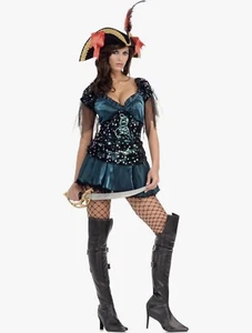 High Seas Babe Pirate Secret Wishes Adult Womens Halloween Costume - Picture 1 of 2