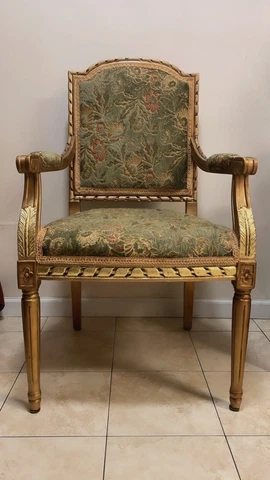 French 19th Century Guiltwood Louis XVI Armchair Cover