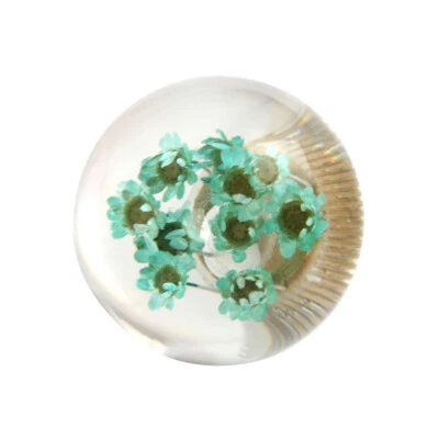 JDM Racing Clear Crystal Shift Gear Knob With Real Flowers Design Universal Fit - Image 1 of 4