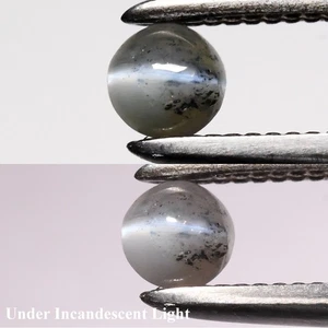 💎 0.14ct Round Cabochon Natural Green Cat's Eye Alexandrite - Sri-Lanka Gem - Picture 1 of 6