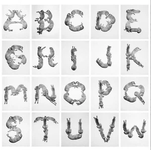 William Wegman Alphabet Collectable Art Original Hand Printed Wallpaper Border - Picture 1 of 15