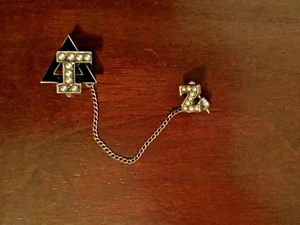 10K Gelbgold Delta Gamma Bruderschaft Schwesternschaft Saatperlen Emaille Anstecknadel - Bild 1 von 4