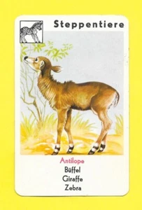 Carte allemande - Steppentiere - Antilope - Picture 1 of 2