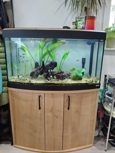 Fluval Vicenza Tropical Fish Tank 180Ltrs with Bow Front and Stand Cabinet - Picture 1 of 5