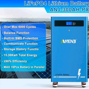 LiFePO4 Batterie 51.2V 314AH für Solar Speicher Nagelneu! - Bild 1 von 4