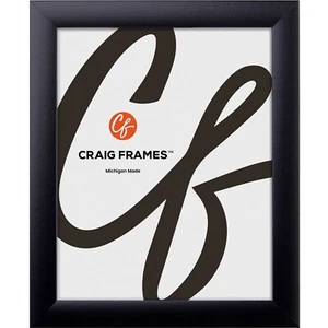 Craig Frames 1WB3BK, Cornici per foto nere contemporanee da 1", 16" dimensioni personalizzate - Foto 1 di 10