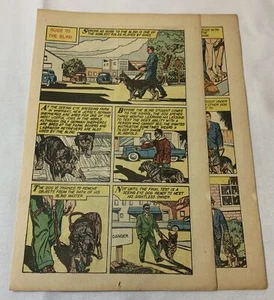 1958 dreiseitige Cartoon-Geschichte ~ FÜHRHUNDE FÜR BLINDE - Bild 1 von 1