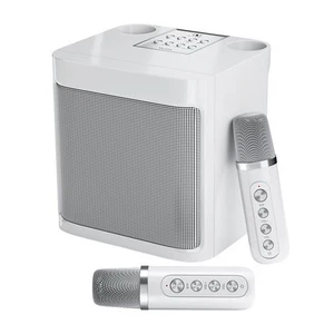 Flyasny Karaoke Machine for Adults and Kids Portable Bluetooth Karaoke Speake... - Picture 1 of 7