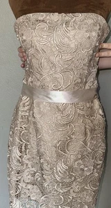 Gorgeous Adrianna Papell Boutique Formal Dress Sz 6 - Picture 1 of 12