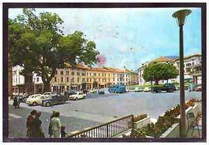 Cartolina Feltre Piazza Isola Belluno Animata Auto Bus EC783 - Picture 1 of 1