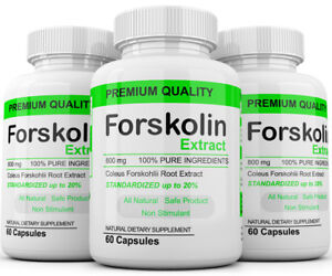 3 PACK FORSKOLIN Weight Loss 100%PURE Coleus Forskohlii 800mg Standardized 20%