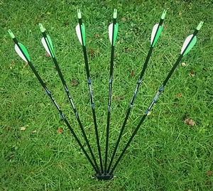 Pfeilständer - 6 Slot Halter für Bogenschießen Aufbewahrung und Display - 25+ Farben - Bild 1 von 33