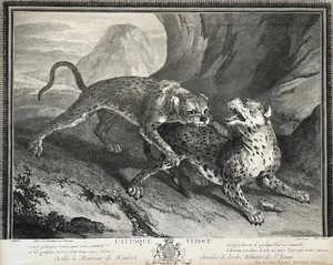 L'Attaque Féroce, Gravure d'après Oudry, Gravure ancienne, XVIIIe - Imagen 1 de 5