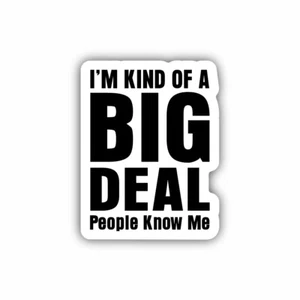 I'm Kind Of A Big Deal, Hard Hat, Laptop, Tool Box, Car, Sticker Decal - Picture 1 of 2