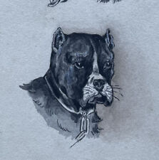 Antique German Austrian Art Nouveau Watercolor Pit Bull Terrier 1920