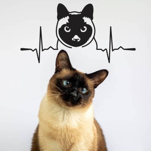 Siamese Cat Vinyl Wall Sticker Funny Kitten Art Pet Lover Waterproof Laptop Car