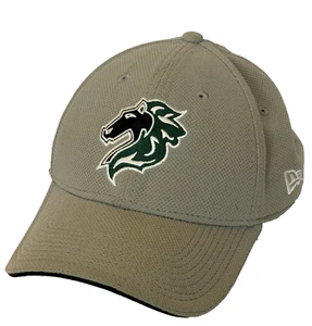 CAPPELLO BERRETTO CHARLOTTE KNIGHTS VECCHIO LOGO NEW ERA 39THIRTY MiLB M L ADERENTE MISTO LANA  - Foto 1 di 14