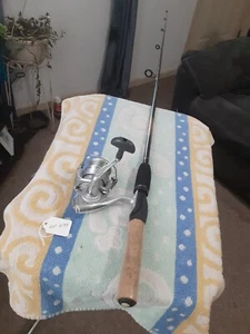 Spinning Fishing Rod ZEBCO 5'6"médium And Reel Daiwa - Picture 1 of 12