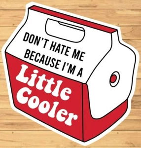 Don't Hate Me Because I am a Little Cooler Sticker Decal - Picture 1 of 5