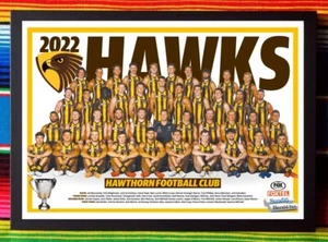 Póster enmarcado HAWTHORN HAWKS AFL 2022 - 62 cm x 44,5 cm x 3 cm - Imagen 1 de 4