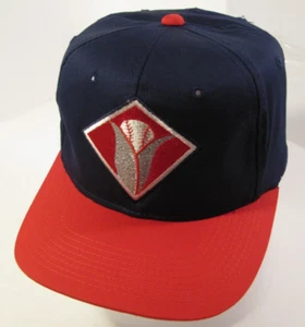 Cappello Cedar Rapids Kernels uomo blu rosso regolabile berretto youngan vintage anni 90 logo mais - Foto 1 di 11