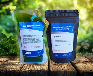 Live Spirulina Culture with Grow Medium - Picture 1 of 1