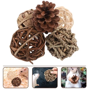 5 Piezas Diente Molar Hierba Bola Conejo Masticable Juguetes Chinchilla Accesorios - Imagen 1 de 12