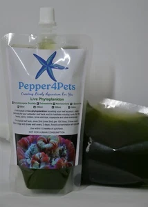 Live Marine Phytoplankton 3 species mix, concentrated (250ml) - Picture 1 of 5