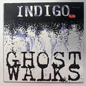 Ghost Walks LP EXCELLENT Indigo GWR Individual Hand Painted Covers - Imagen 1 de 7