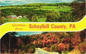 Postcard: Greetings from Schuylkill County -- Pennsylvania -- USA - Picture 1 of 2