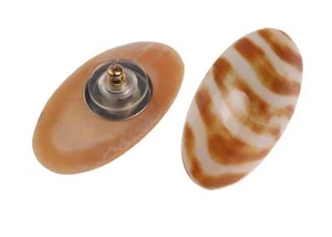 Ohrringe gefertigt aus Nautilus Muschel Oval Design,37mm - Picture 1 of 1