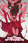 Scarlet Witch The Trail of Magneto issue 3 Poster