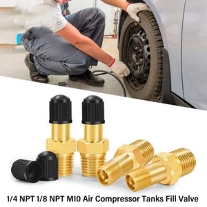 2PC 1/4 Npt 1/8 Npt M10 Tire Tire Valve Core Anti-Corrosion Tire Copper Valve - Picture 1 of 17