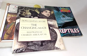 3 great kids books: World's Weirdest Reptiles, African Tradtions, Changing Mazes - Picture 1 of 1