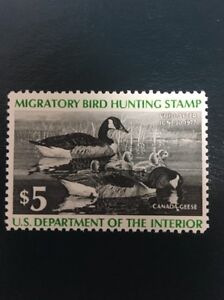 US RW43 Federal Duck Stamp - mint never hinged - very nice 1976 stamp