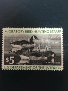 US RW43 Federal Duck Stamp - mint never hinged - very Fine 1976 stamp - Picture 1 of 2