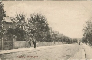 CEDAR ROAD, SURREY - Surrey Postcard - Picture 1 of 2