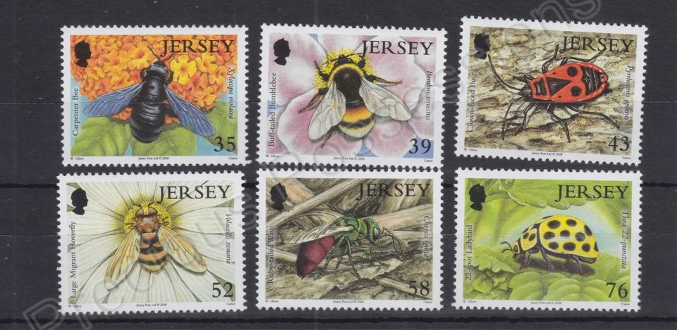 JERSEY SG 1393-1398 2008 MNH STAMP SET INSECTS 2ND SERIES - Image 1 of 1