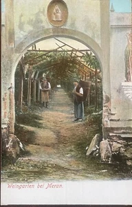 c.1905 Winegarden in Merano (Meran) Hand Coloured Real Photo Postcard; Mint - Bild 1 von 2