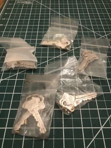 Rekey Pins Lock Cut Keys Schlage Sc4 5 Sets With Pins Ten Cut Pairs House Rekey - Picture 1 of 4