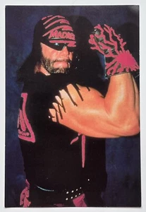 MACHO MAN Randy Savage 1998 Panini WCW NWO Superstars Photo Card #47 WRESTLING - Picture 1 of 3